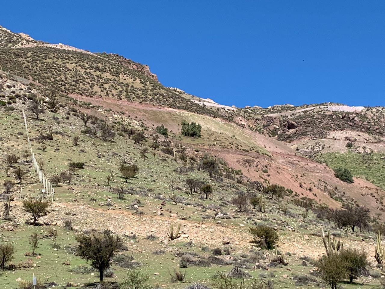 Los Andes - imagen 1 de 6