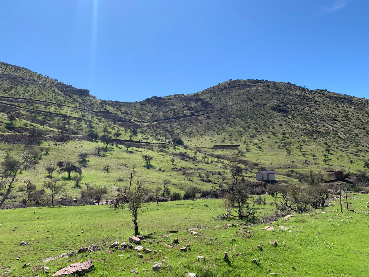 Los Andes - imagen 1 de 6